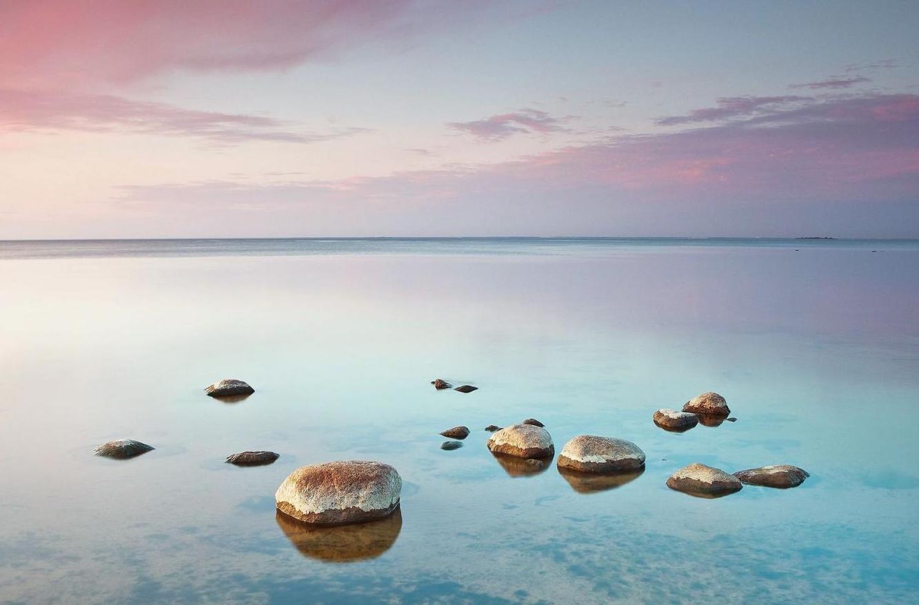 NARM™ - Introductory Workshop