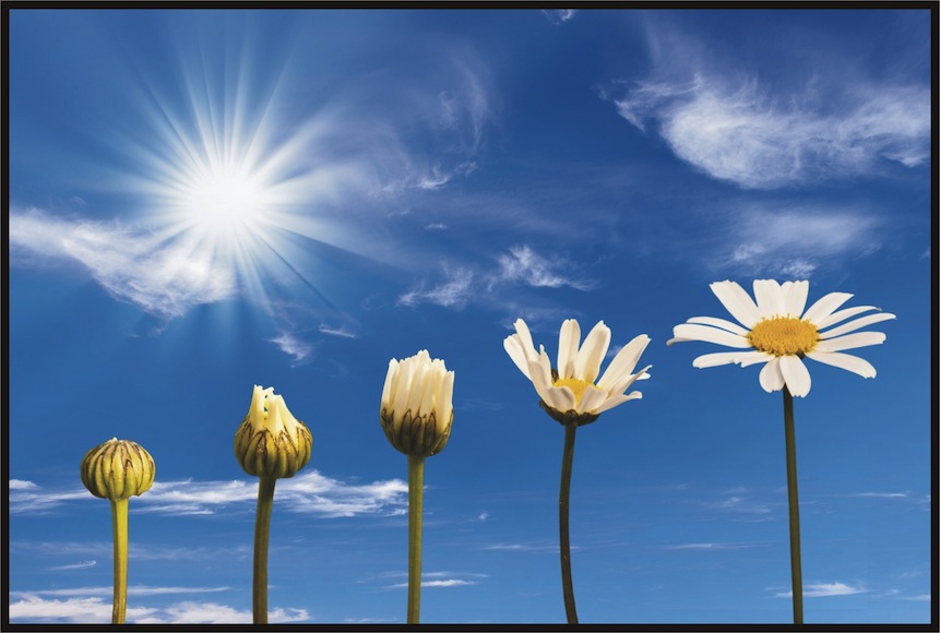 Sessões de Movimento Somático