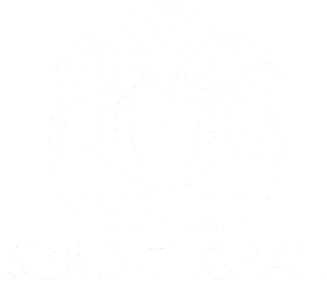 Ser Integral